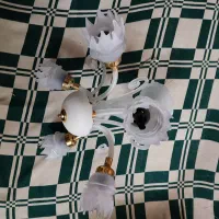 لوستر شیشه ای|لوستر و چراغ آویز|تربتحیدریه, کاشانی|دیوار