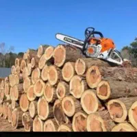 خریدوفروش انواع چوب