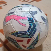 توپ سالنی|ورزش‌های توپی|گزیک, |دیوار