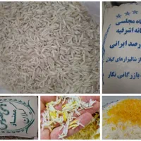 برنج دمسیاه مجلسی & برنج هاشمی اعلا