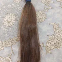 مو فروشی|آرایشی، بهداشتی، درمانی|شیراز, شهرک امیر کبیر|دیوار