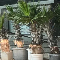 استخدام نگهبان و سرایدار