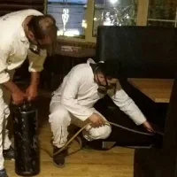 سمپاشی موریانه ساس بدون واسط سم پاشی سوسک با ضمانت