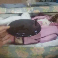 عروسک بزرگ|اسباببازی بچه|کارون, |دیوار