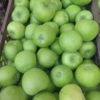 سیب سبز درجه ۲