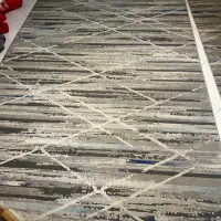 ۲عدد فرش ۶ متری
