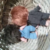 تعدادی عروسک|اسباببازی بچه|سنندج, |دیوار