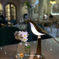 نیازمند خانم جهت کار در کافه