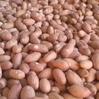 بادام کره گیری و برشته|خوردنی و آشامیدنی|تهران, زعفرانیه|دیوار