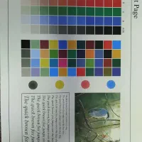 همکار خانم جهت کار در دفتر چاپ