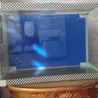 آکواریوم ۶۰ لیتری شیشه ۶ میل+ دماسنج نواری|ماهی|خوی, |دیوار