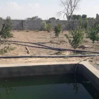 باغ|فروش زمین و ملک کلنگی|شبستر, |دیوار