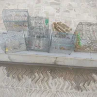 قفسه‌|حراج|اقلید, |دیوار