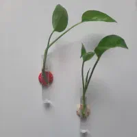 مگنت قلمه گل