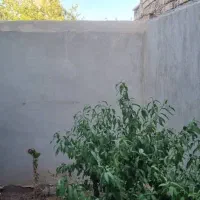 رهن-و-اجاره-آپا-تمان