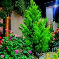 ویلا مدرن ژیگِس (ZHIGES) مالک ویلا هستم|اجارهٔ کوتاه‌مدت ویلا و باغ|کرج, فاز ۲ مهرشهر|دیوار
