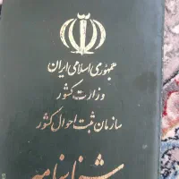 گمشده شناسنامه