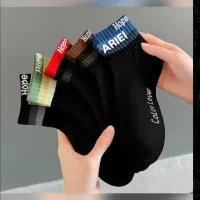 گالری جوراب پا به پا|لباس|شیروان (خراسان), |دیوار