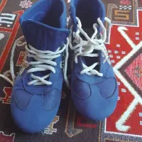 کتونی|کیف، کفش، کمربند|الشتر, |دیوار