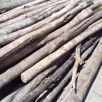 خریدار مستقیم چوب درختان میوه و تیر|خدمات باغبانی و درختکاری|ارومیه, |دیوار