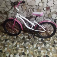 لوازم منزل|فرش|بندرعباس, |دیوار