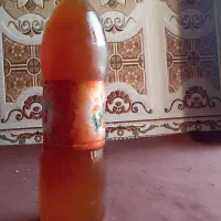 عسل کوهی