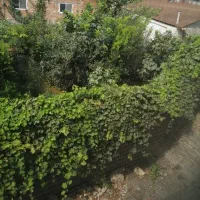 زمین خانه سرا