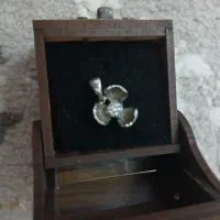 پلاک نقره