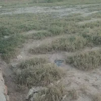 زمین