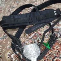 حیکلی برزنت و پر شاخه ای