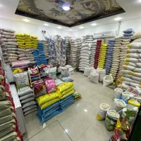 انواع برنج ایرانی هندی و پاکستانی با کالابرگ