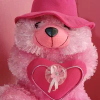 عروسک خرسی صورتی کادویی