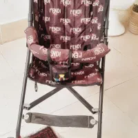 کالسکه عصایی