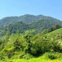 زمین ۴۰۰ متری مسکونی باجواز ساخت/ گشت رودخان