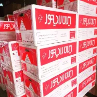 پکیج ایران رادیاتور مدل A24