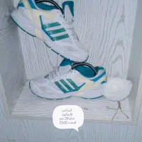 کتونی خارجی