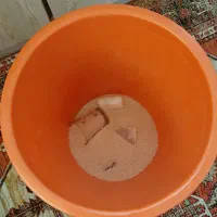 سطل برنج|ظروف نگهدارنده، پلاستیکی، یک‌بارمصرف|تهران, نیروی هوایی (پیروزی)|دیوار