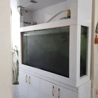 جا کفشی بزرگ با دکور آکواریوم|جاکفشی، کمد، دراور|شیراز, میانرود|دیوار