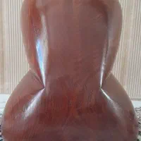 تار دو مهر توکل علی یاری سمت شهریار|سازهای سنتی|فردوسیه, |دیوار