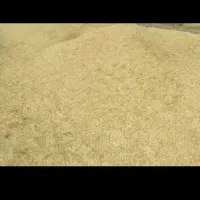 کاه گلرنگ