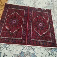 فروش درجه یک شاه بلاغ پشمی