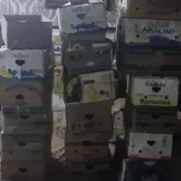 جعبه موزی کارتن موزی اسباب کشی