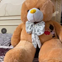 خرس بزرگ نو مناسب برای هدیه