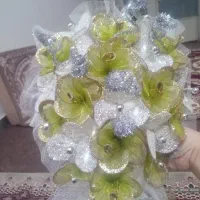 گل عروسی نو