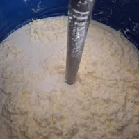 کره گاوی مشک،روغن زرد،تخم مرغ محلی،دوغ و ماست