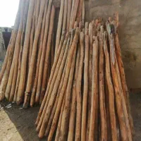 خریدوفروشانواعچوب|خدمات باغبانی و درختکاری|کرمانشاه, |دیوار
