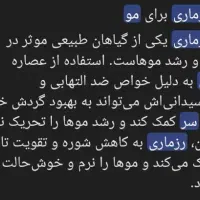 رزماری گیاهی برای کسانی که مو میریزه|گل و گیاه طبیعی|خرمشهر, |دیوار