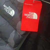 مدارک پیدا شده سید حدیث موسویی