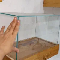 باکس چوب شیشه