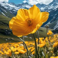 راهنمایی